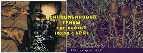 ECSTASY Алексеевка
