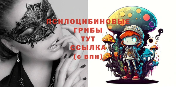 ECSTASY Алексеевка