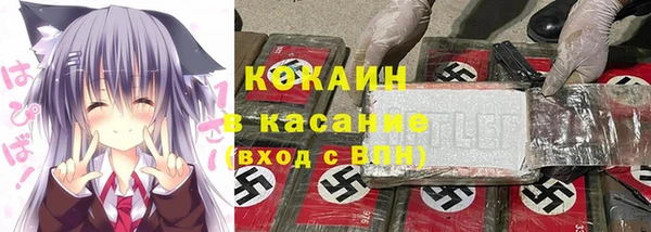 ешки Алексин