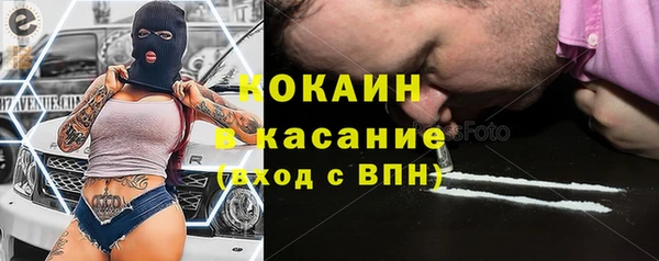 ешки Алексин